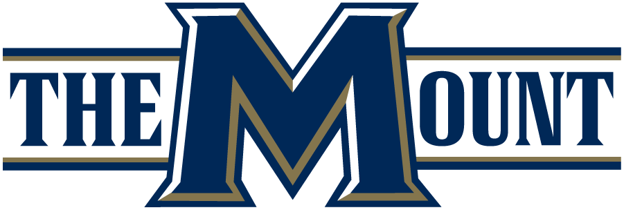 Mount St. Marys Mountaineers 2016-Pres Wordmark Logo diy iron on heat transfer